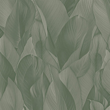 Обои в тропическом стиле Zambaiti Architexture 2 Z57705