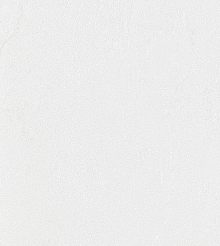 Обои для столовой Bernardo Bartalucci Gaga  84284-16