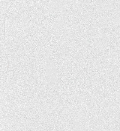 Обои 84284-15, Gaga, Bernardo Bartalucci