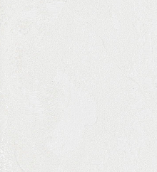 Обои для столовой Bernardo Bartalucci Gaga  84284-9