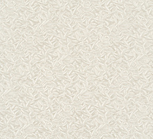 Marburg Gloockler Pompoos Provence 52505