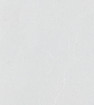 Обои 84284-14, Gaga, Bernardo Bartalucci